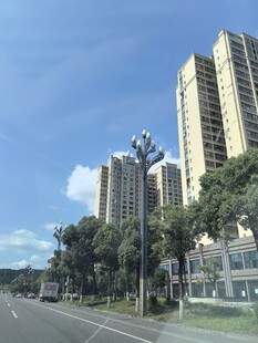 城市街道旁的高楼景观