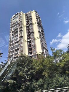 高层住宅矗立绿树蓝天间