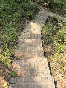 林间石板小径
