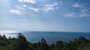 海边蓝天绿树美丽景致