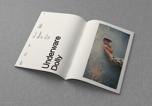 画册排版设计样机贴图素材