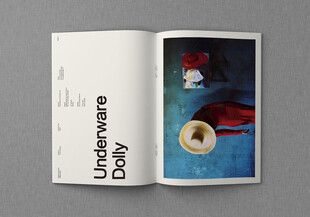 画册内页展示样机素材贴图