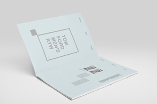 宣传册展示样机素材智能贴图