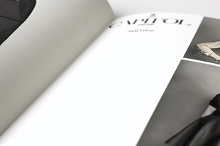 作品集画册内页品牌提案样机素材