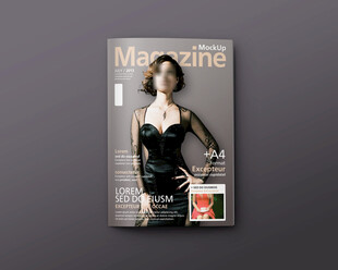 画册杂志封面设计样机素材