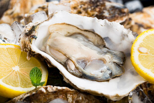 新鲜生蚝配柠檬片