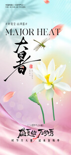 小暑大暑荷花荷叶节气海报
