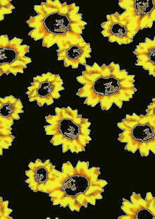 黑色背景上的向日葵图案