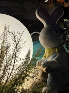 月夜下的兔子玩偶与树林