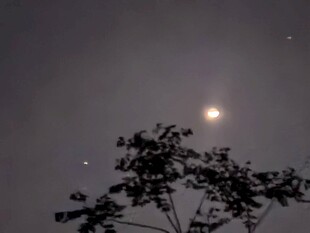 夜空下的树与明亮天体