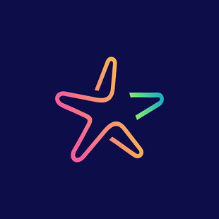 彩色海星简约图标