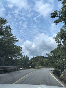 蜿蜒公路旁的葱郁景致