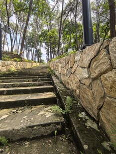 林间石阶