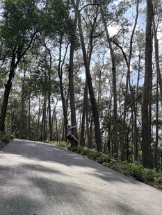 林间骑行路