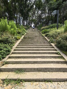 林间石阶