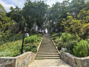 山间石阶小径