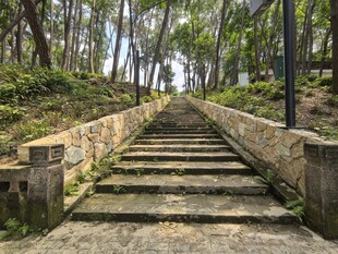 林间石阶步道