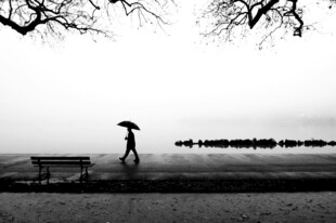 雨中独行者