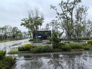 暴雨中积水的户外场景