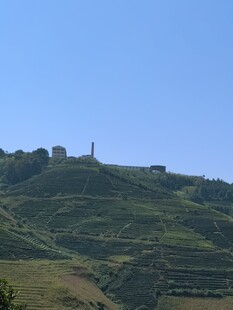山坡风光