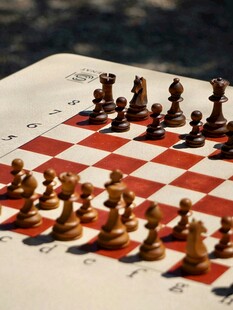 棋盘上的国际象棋对决