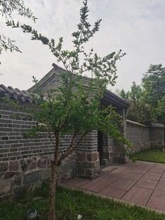 中式庭院一角