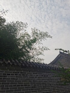 中式砖墙与屋顶的景致