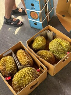 榴莲