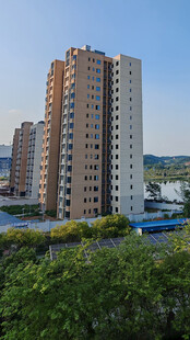 城市高楼与绿植景观