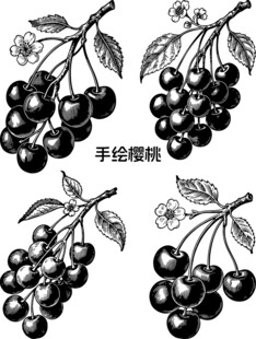 手绘樱桃图案