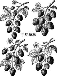 手绘草莓