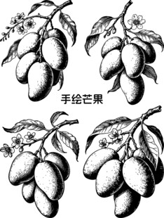 手绘芒果图案