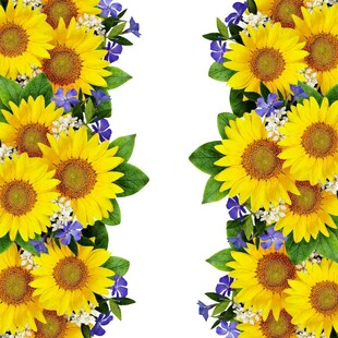 向日葵花卉图案设计