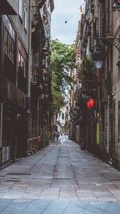 古巷静谧景