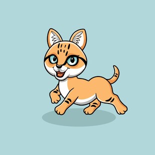 奔跑的可爱小猫咪