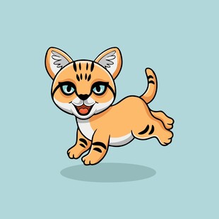 跳跃的可爱小猫咪