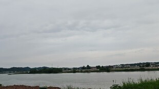 阴天河畔风景