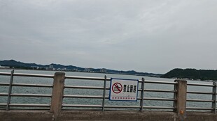 江边围栏风景