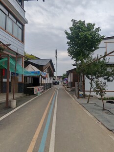 宁静的乡村式街道景象