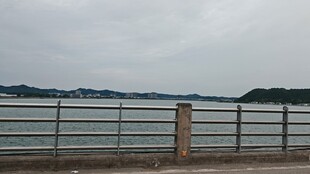 湖畔围栏景致