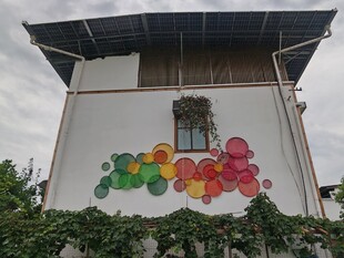 彩色装饰墙面建筑