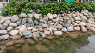 水边石景