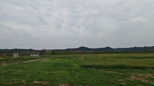 田野风光