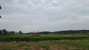 阴天田野风光