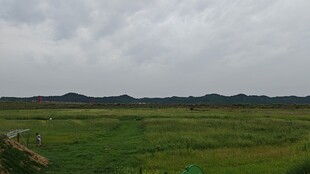 阴雨天的广袤草原