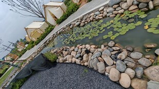 岸边石景与水面景观