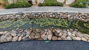 庭院中的石砌小池塘