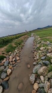 雨中石径