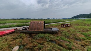 田野中的老旧船只