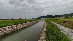 田野间的灌溉水渠
